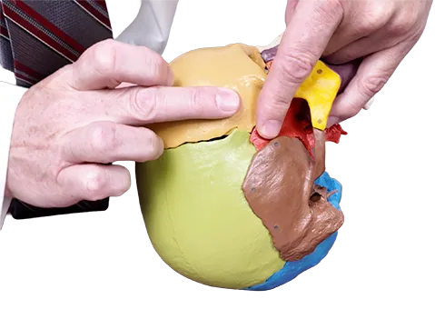 Cranial video part 2